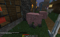 Rencontre avec un cheep rose